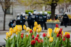 122_365_may01.jpg