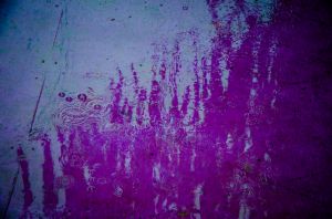 164_365_Jun12.jpg