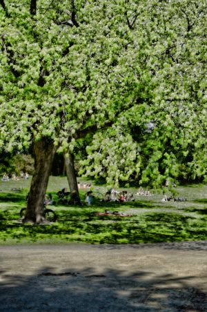 169_365_Jun17.jpg