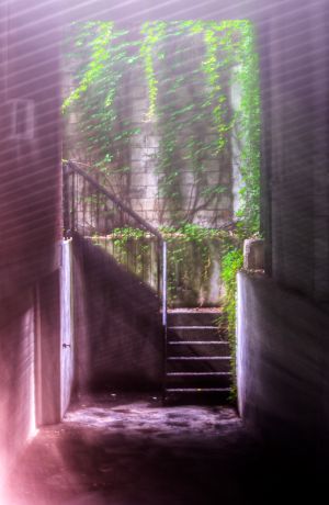 187_365_Jul05.jpg