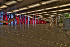 Project365_wk1-2-2.jpg