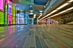 Project365_wk1-5-2.jpg