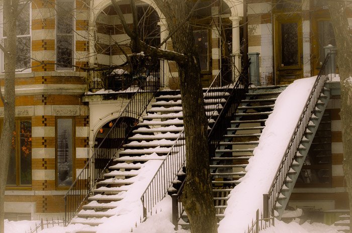 Snow covered steps on Esplanade AvenueISO 100 - 70mm - f6.3 - 1/80 sec