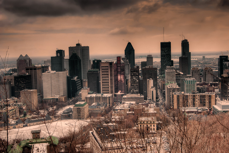 View of the Montreal Skyline from the Escarpment path on Mont Royal