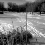 Parc La Fontaine in winter