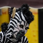 Zebra street entertainer