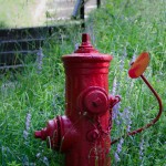 Fire Hydrant in the wild