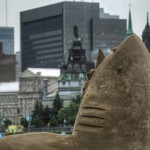 Another shark looking for City Hall