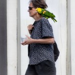 Taking the parrot for a walk