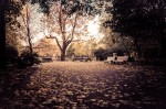 Autumn in Parc La Fontaine