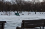 Lone skater at Parc Lafontaine