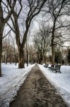 Benches at Parc Lafontaine