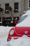 Red Beetle in the snow