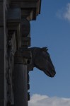 Horses head at the Ravenscrag stables