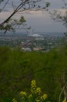Olympic Stadium from Mount Royal