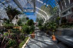 Inside the Westmount greenhouse