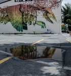 Alexis Diaz mural in a puddle