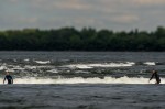 Surfing in Montreal