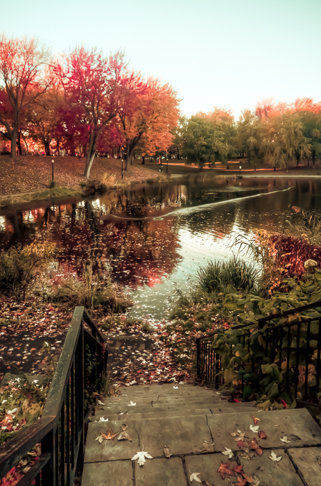 10 Montreal Autumn photo locations - #3 Parc Lafontaine