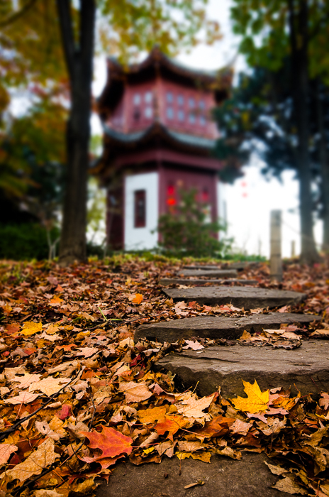 10 Montreal Autumn photo locations - #6: Botanical Garden